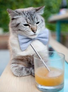 史上最年轻“冠军传奇”完成梦想征程,史上最年轻的常规赛mvp获得者是谁