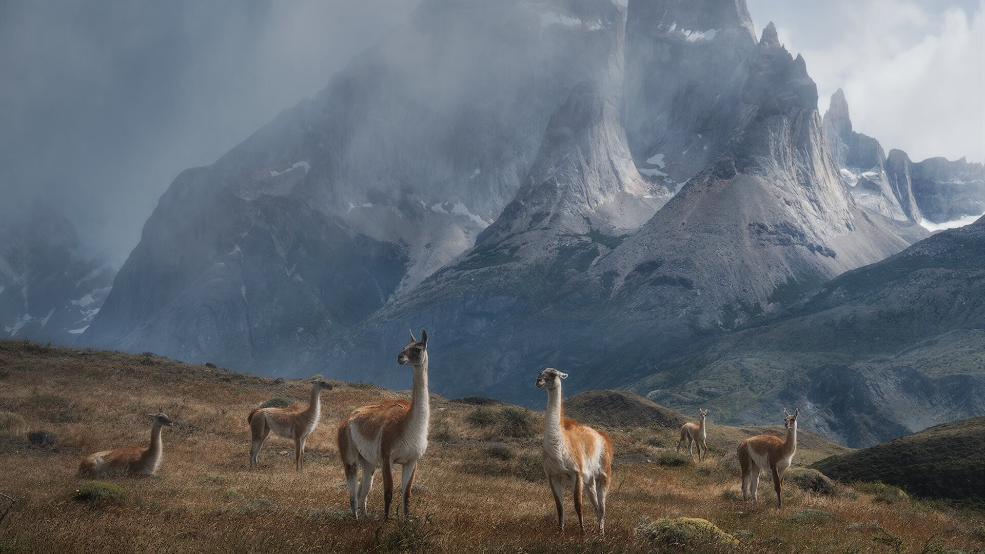 中甲联赛的竞争格局分析,中甲联赛分组