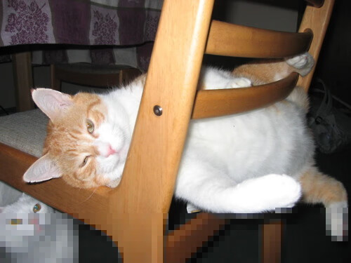 四川男篮主场大胜,豪取比赛胜利,男篮四川队