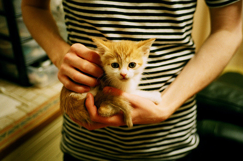 加拿大队在国际乒联混合团体世界杯中出色的战术执行,加拿大乒乓球队2021