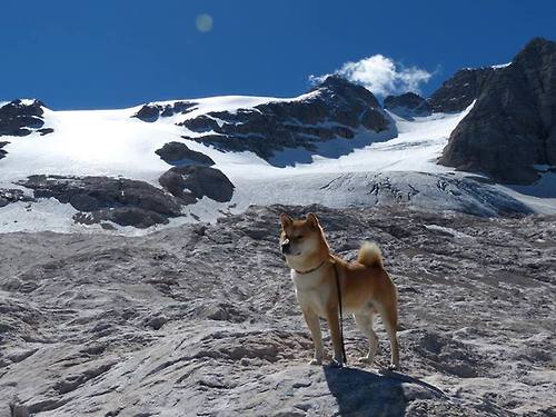 克罗地亚男篮在欧洲锦标赛中表现不俗，能否夺冠值得期待