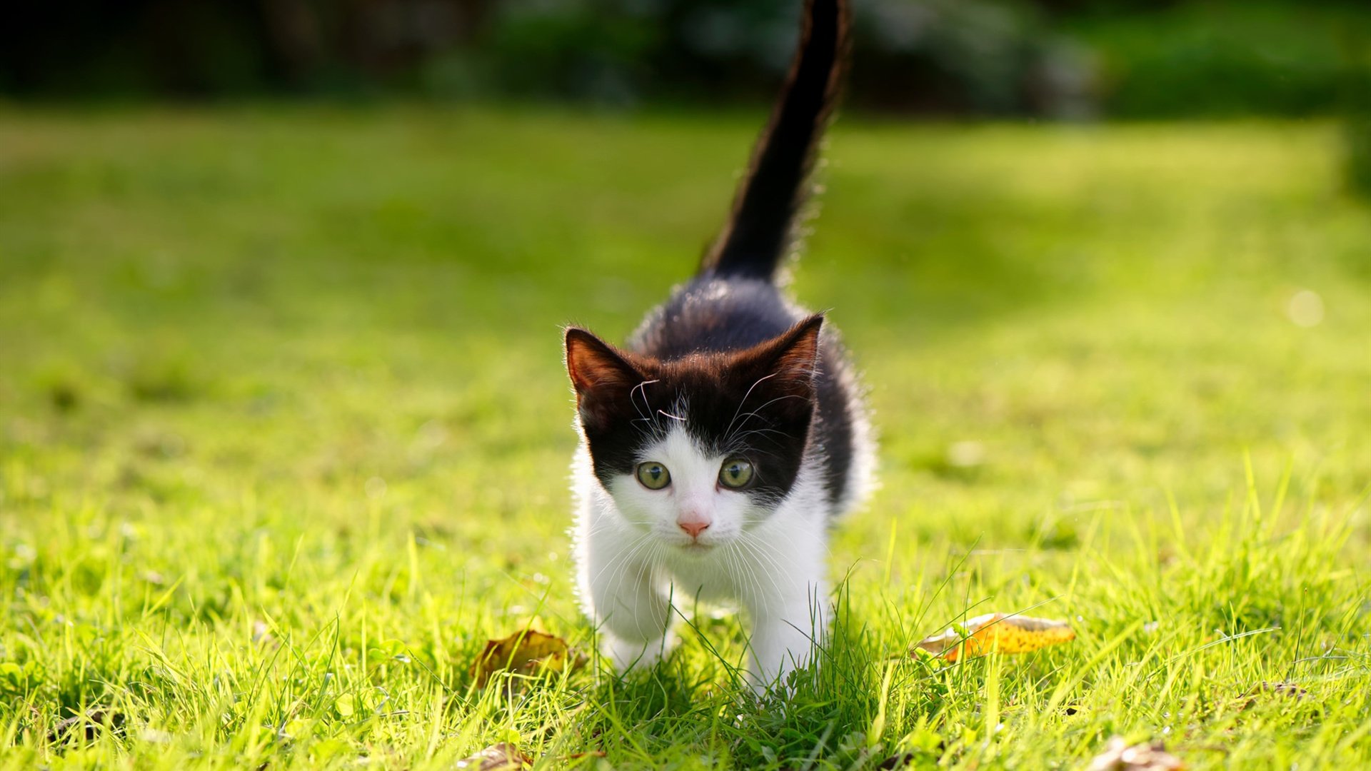 国家队训练营强化防守转换提升团队协作效率,加强防守