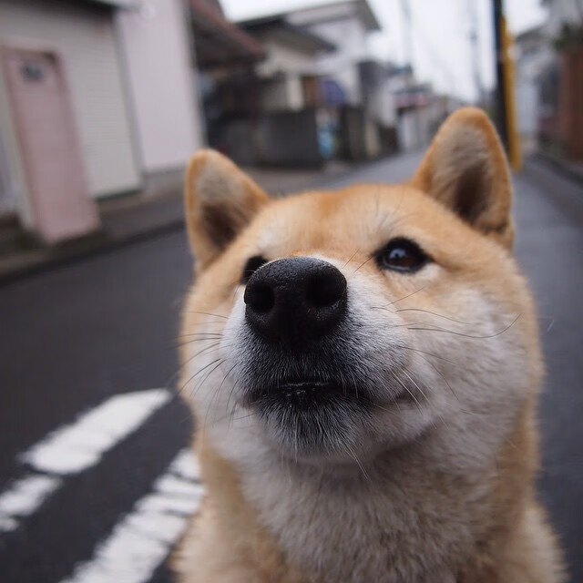 库里与老对手赛后热情拥抱引回忆杀,库里和谁一队