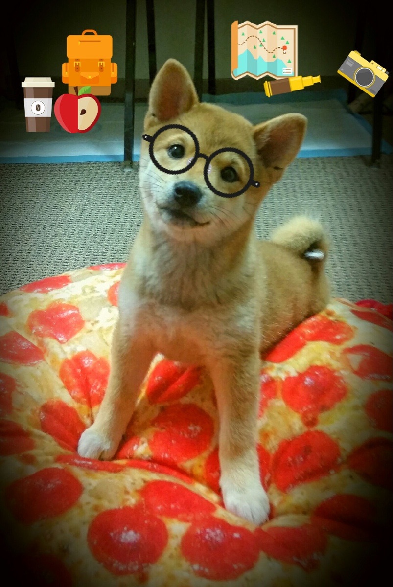 霍勒迪快攻策动全场雄鹿反击犀利，霍勒迪进攻